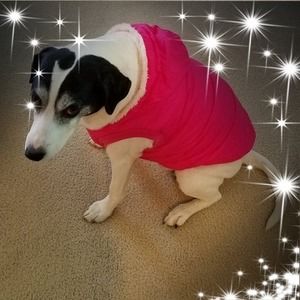 Meet your Posher, Wendy